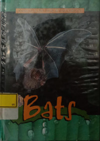 Animals of the Rainforest : Bats