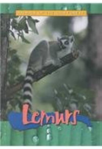 Animals of the Rainforest : Lemurs