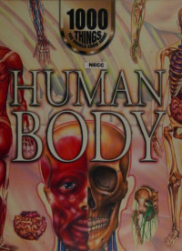 Human Body