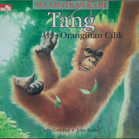 Selamatkan Kami Tang : Orangutan Cilik